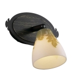 Светильник ODEON LIGHT 2146/1W кор G9 40W Canto